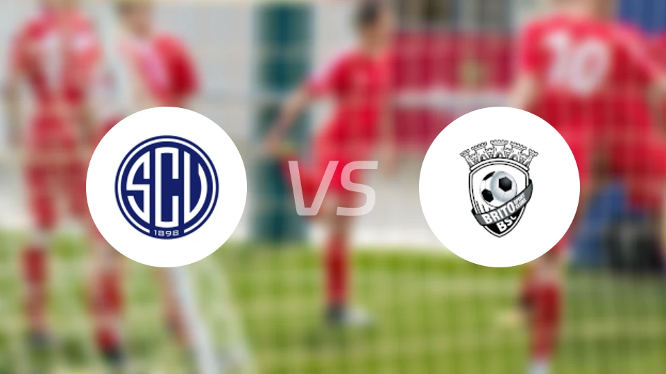 凡恩尼斯vs布里托比分预测【2026/02/15】