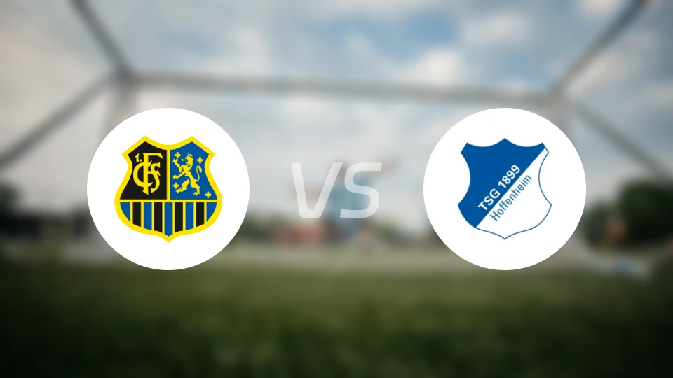 萨尔布吕肯vs霍芬海姆青年队比分预测【2025/12/13】