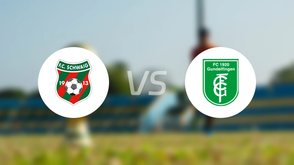 施瓦伊格vs贡德尔芬根比分预测【2026/03/21】