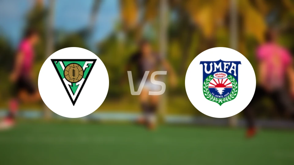 胡萨维克vs阿费查尔丁比分预测【2026/03/08】