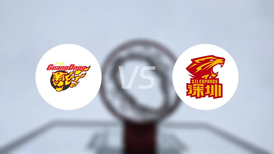 广东东阳光vs深圳马可波罗录像回放【2024/11/03】