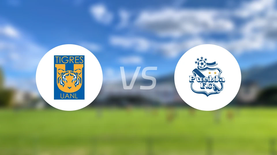 老虎大学vs普埃布拉比分结果战报【2024/10/06】