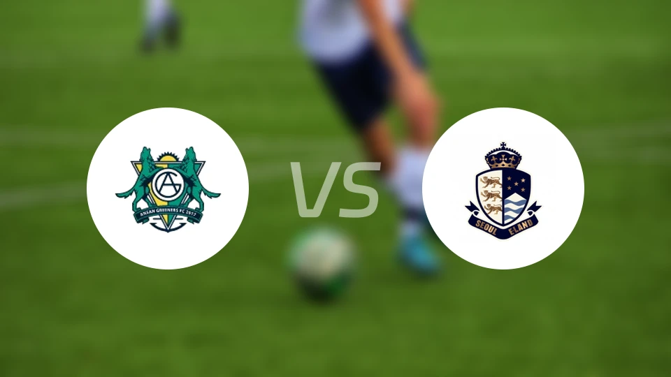 安山小绿人vs首尔衣恋比分预测【2026/04/19】