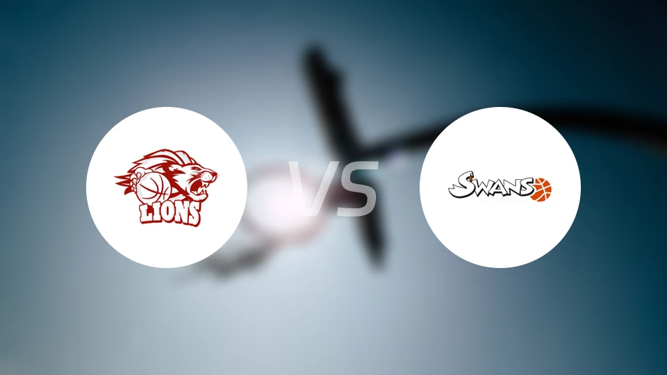 雄狮vs葛姆登天鹅比分预测【2025/11/17】