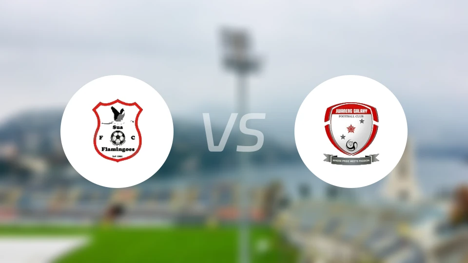 苏阿火烈鸟vs朱瓦能银河比分预测【2025/11/22】