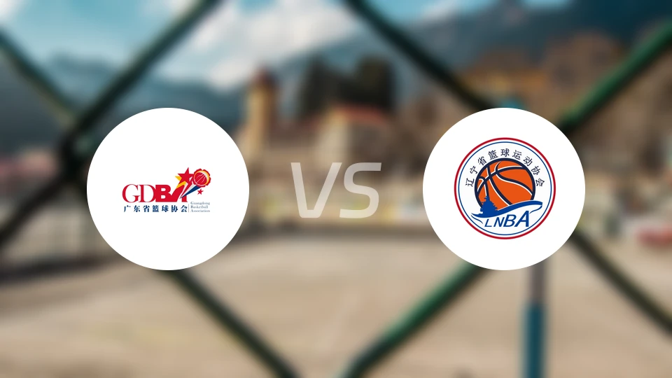 广东vs辽宁比分结果战报【2025/11/11】