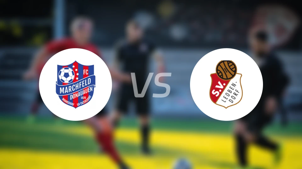 曼斯多夫vs雷欧贝多夫比分预测【2026/04/04】