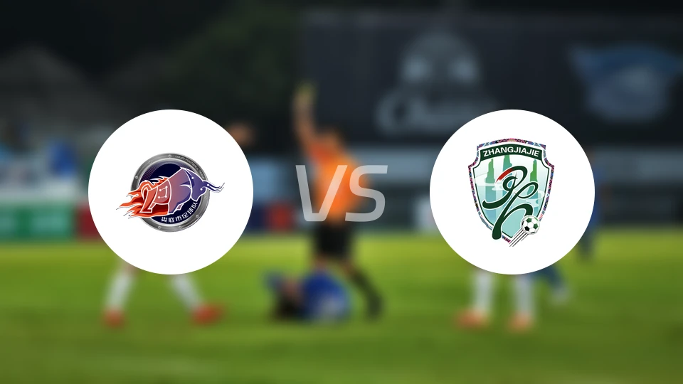 娄底队vs张家界队录像回放【2025/11/08】