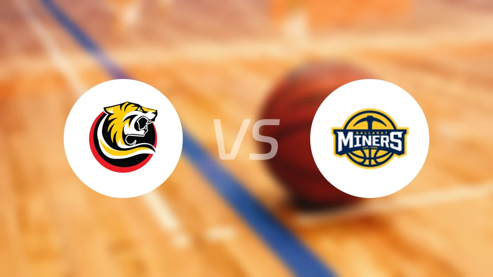 墨尔本猛虎vs巴拉瑞特矿工比分预测【2026/04/12】