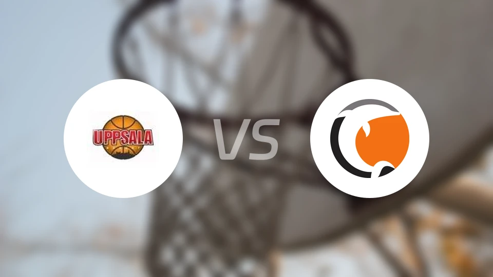 乌普萨拉vs诺科平海豚比分预测【2026/01/28】