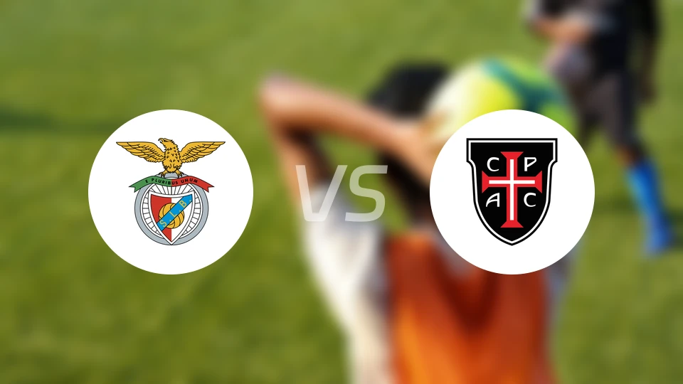 本菲卡vs卡萨比亚比分结果战报【2025/11/10】