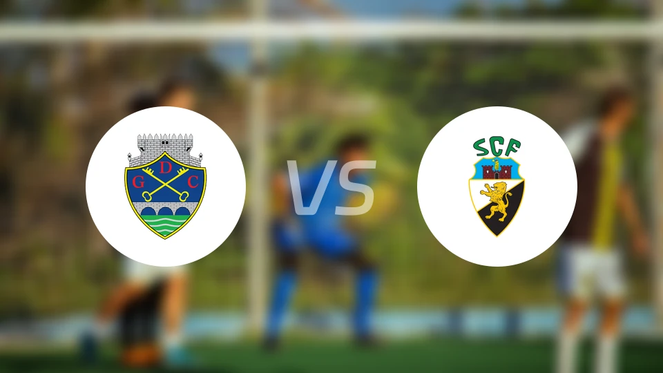 查维斯vs法鲁人比分结果战报【2026/02/22】