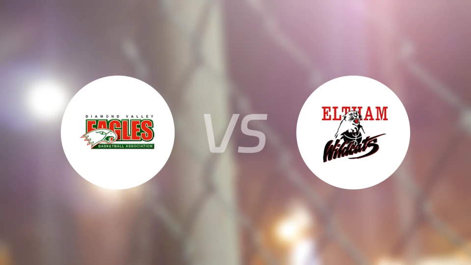 钻石谷鹰vs埃尔特姆野猫比分预测【2026/03/28】