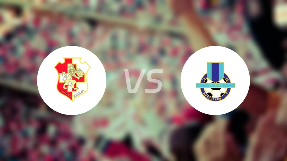 纳沙尔狮队vs施利马比分预测【2026/02/14】