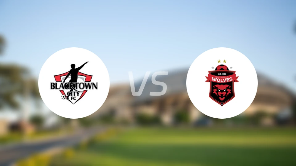 黑镇市足球俱乐部vs卧龙海岸狼队比分预测【2026/04/12】