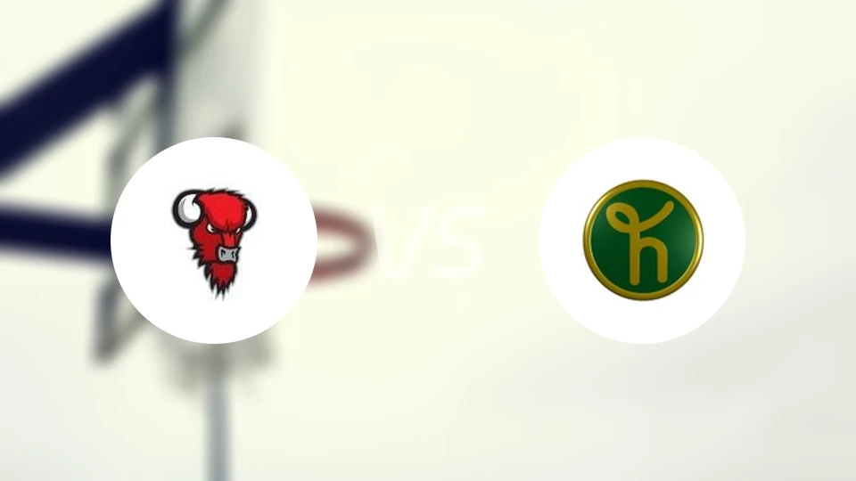 野牛vs洪卡比分预测【2025/11/22】