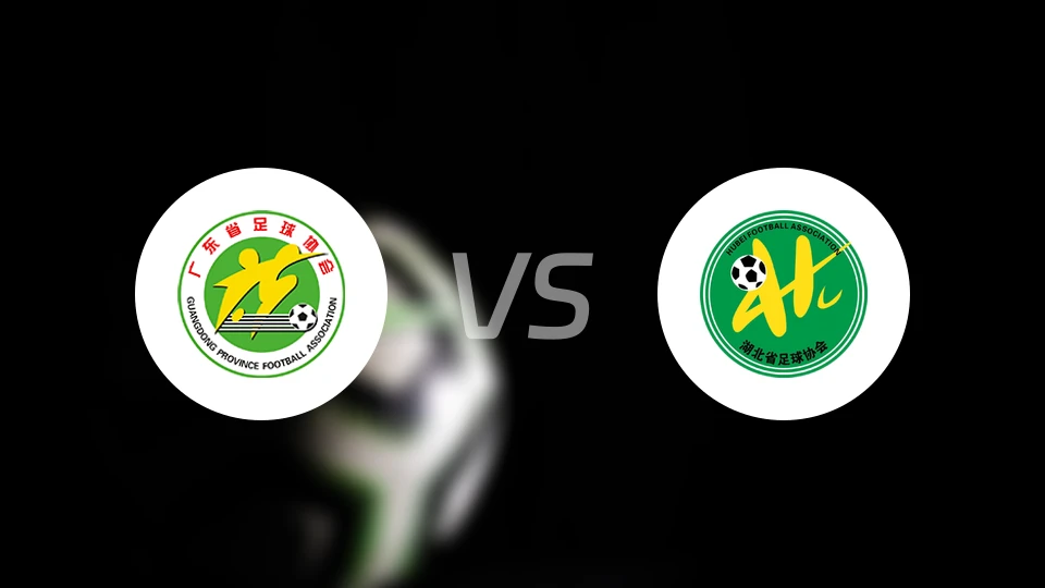 广东U20vs湖北U20比分结果战报【2025/11/12】