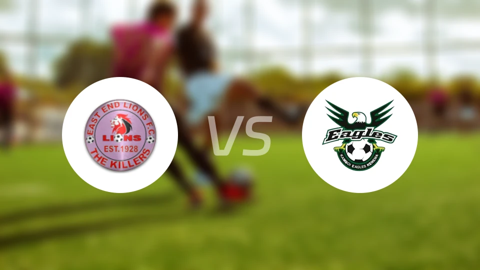 东端狮vs坎博伊老鹰比分预测【2026/02/24】