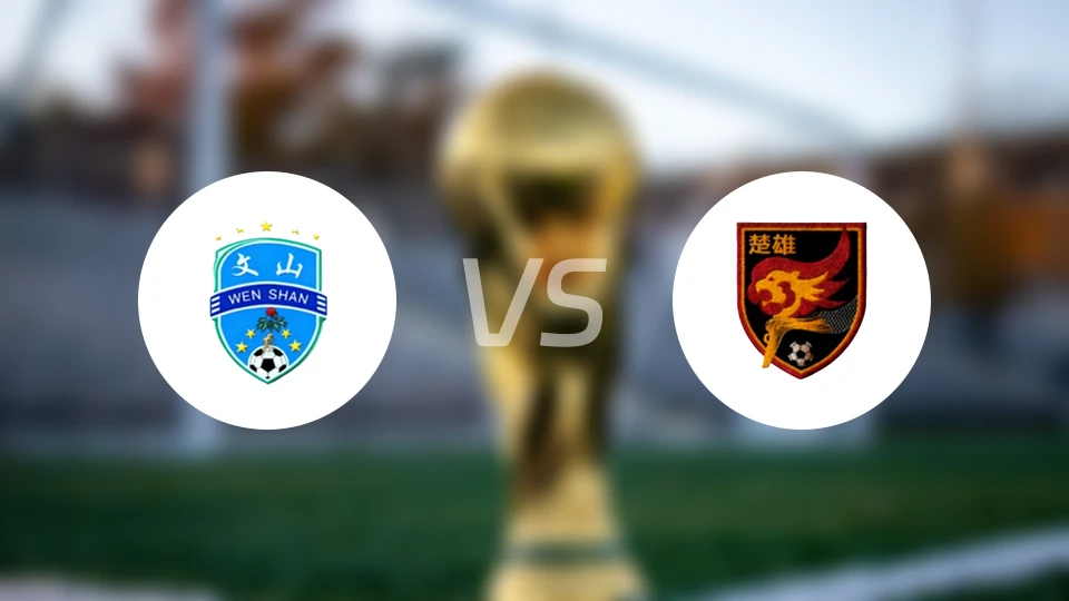 文山队vs楚雄队录像回放【2026/03/08】