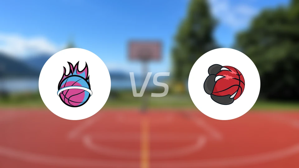 热火vs猛龙录像回放【2026/04/08】