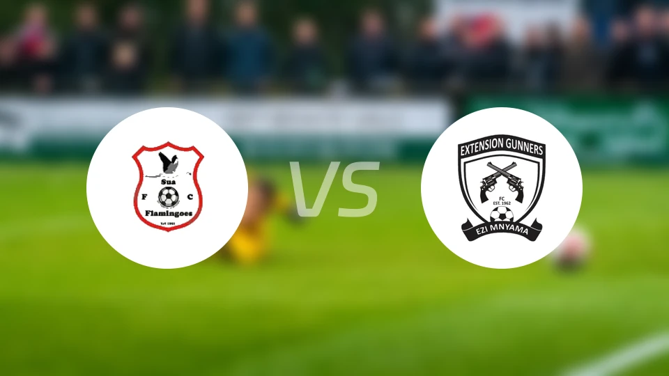 苏阿火烈鸟vs伊特斯逊比分预测【2026/02/07】