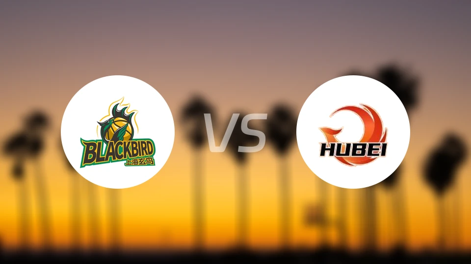 上海玄鸟vs湖北文旅录像回放【2025/12/26】