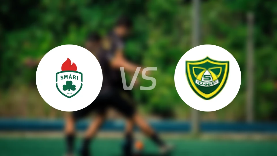 斯马里vs斯卡拉格里姆比分预测【2026/03/21】