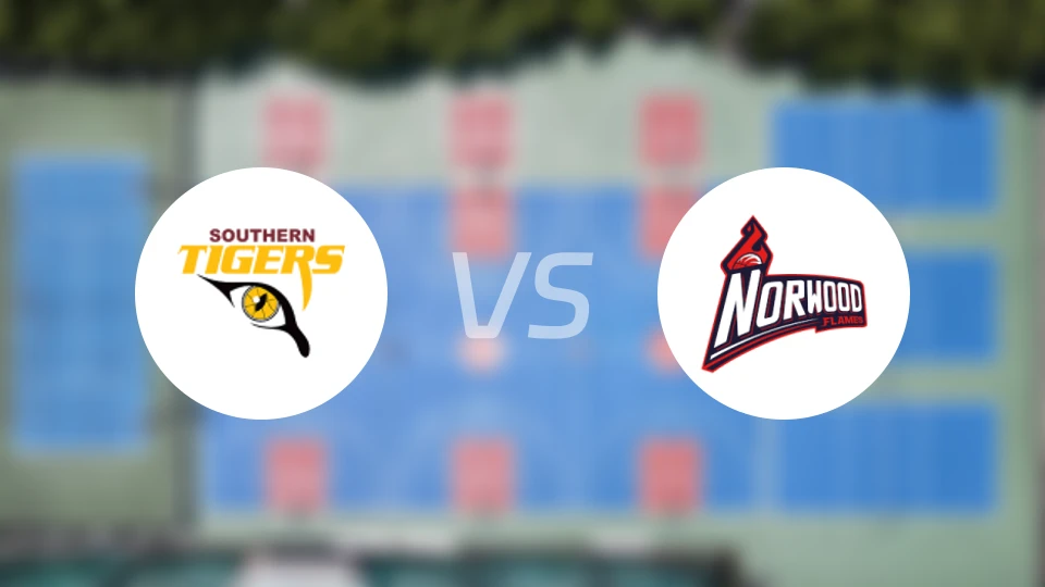 南部老虎vs诺伍德火焰比分预测【2026/03/28】