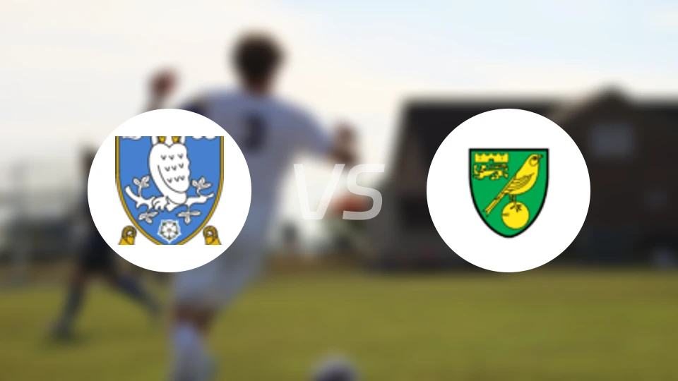 谢周三vs诺维奇比分预测【2025/11/06】