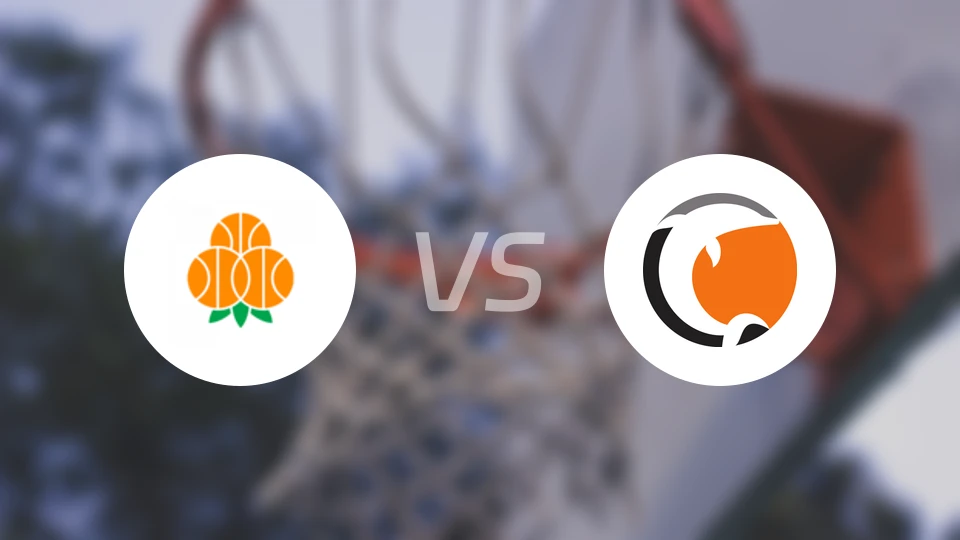 于默奥vs诺科平海豚比分预测【2025/12/31】