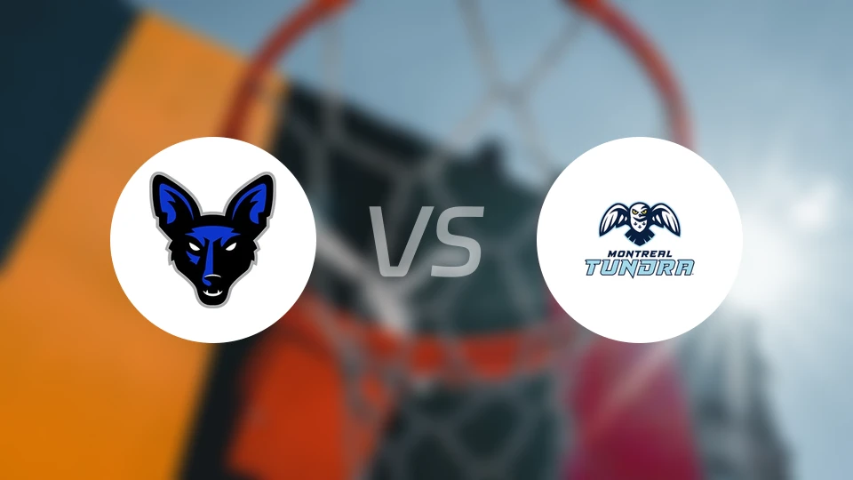 詹姆斯敦豺狼vs蒙特利尔苔原比分预测【2026/01/18】