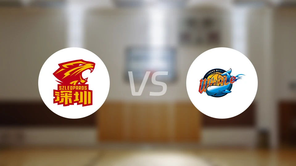 深圳vs四川比分结果战报【2025/12/24】