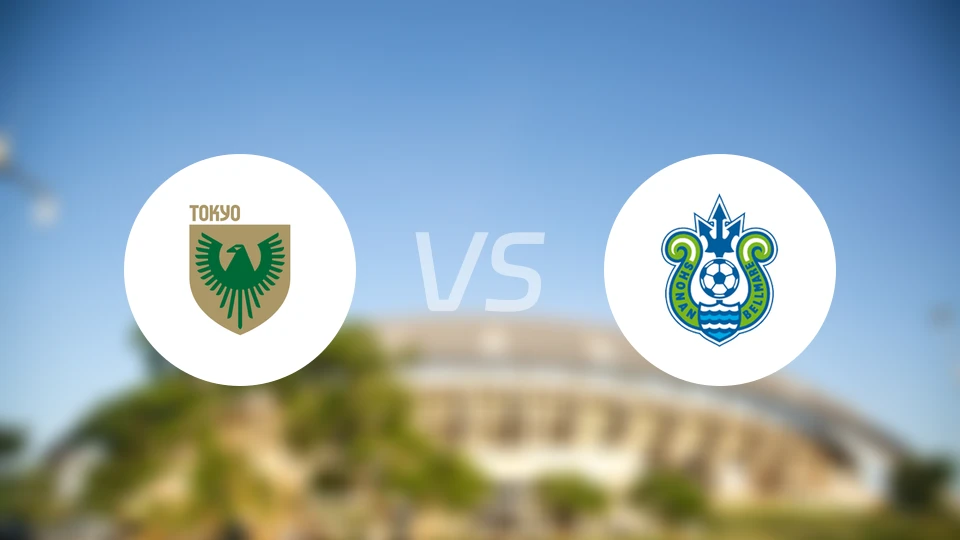 东京绿茵vs湘南丽海比分结果战报【2024/10/06】