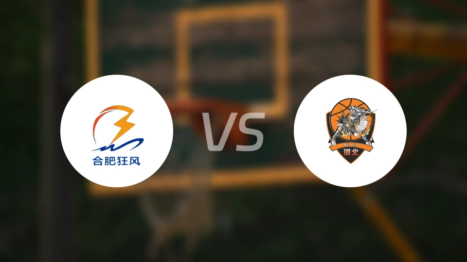 合肥狂风峻茂vs石家庄翔蓝录像回放【2025/07/14】