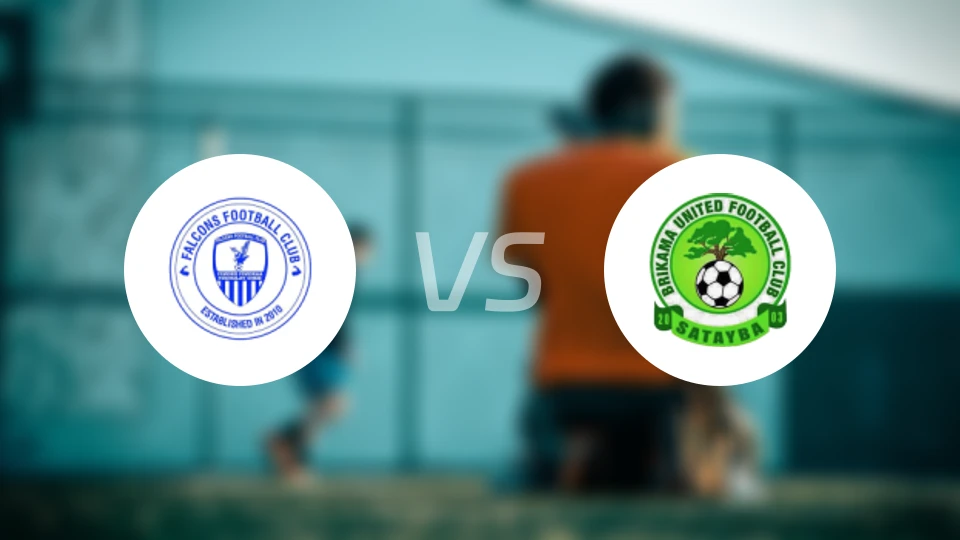 猎鹰vs布里卡马联比分预测【2026/01/31】