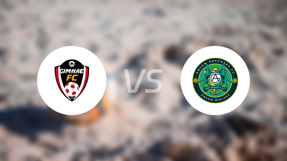 金海vs安山小绿人比分结果战报【2026/02/28】