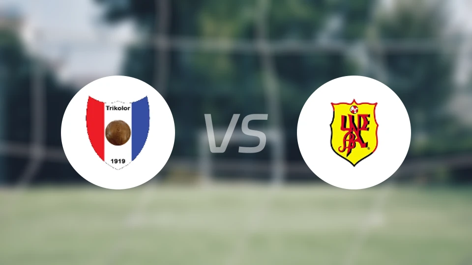 容霍兰德vsSV乌德巴比分预测【2025/11/03】