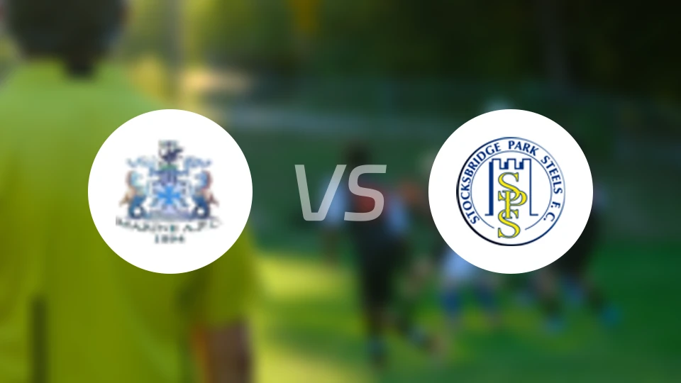 海运联vs史托克斯比分预测【2025/11/15】