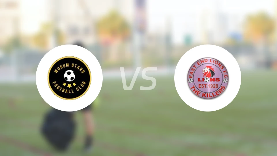 乌苏姆之星vs东端狮比分预测【2026/01/19】