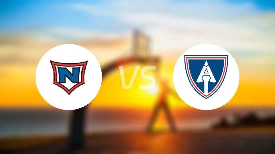 拿尔维克vs艾尔曼尼比分预测【2025/11/21】