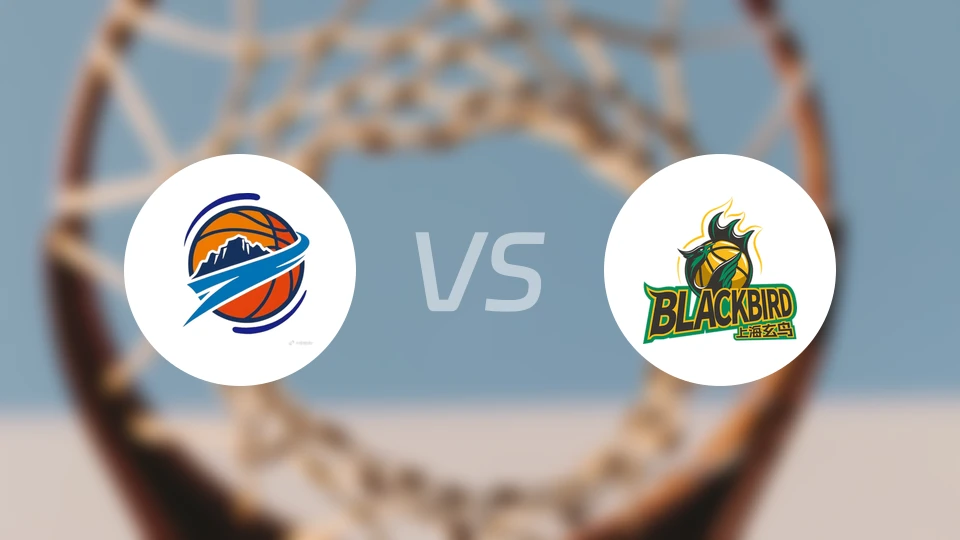 焦作文旅vs上海玄鸟录像回放【2026/02/25】