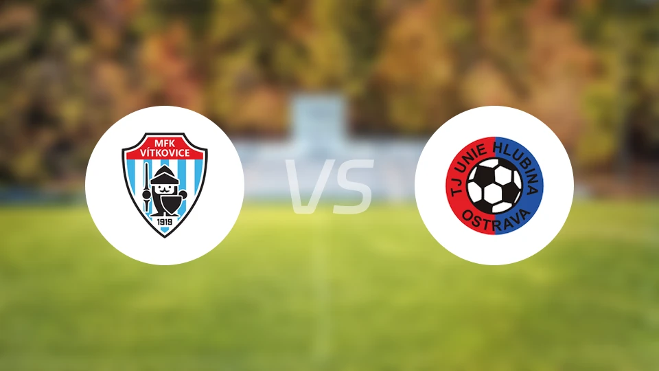 维特科维斯vs荷路比纳比分预测【2025/11/15】