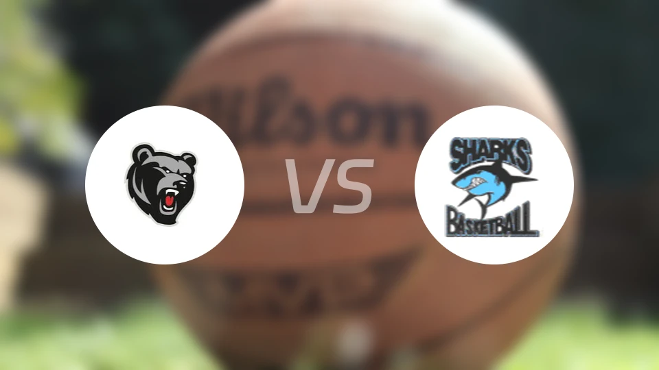 北方熊女篮vs萨瑟兰德鲨鱼女篮比分预测【2026/04/18】