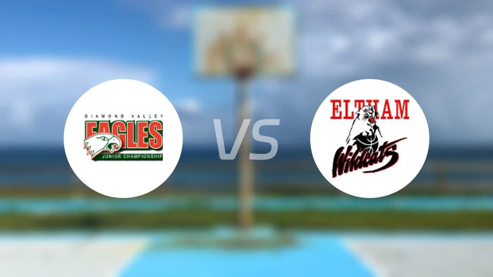 钻石谷鹰女篮vs埃尔特姆野猫女篮比分预测【2026/03/28】