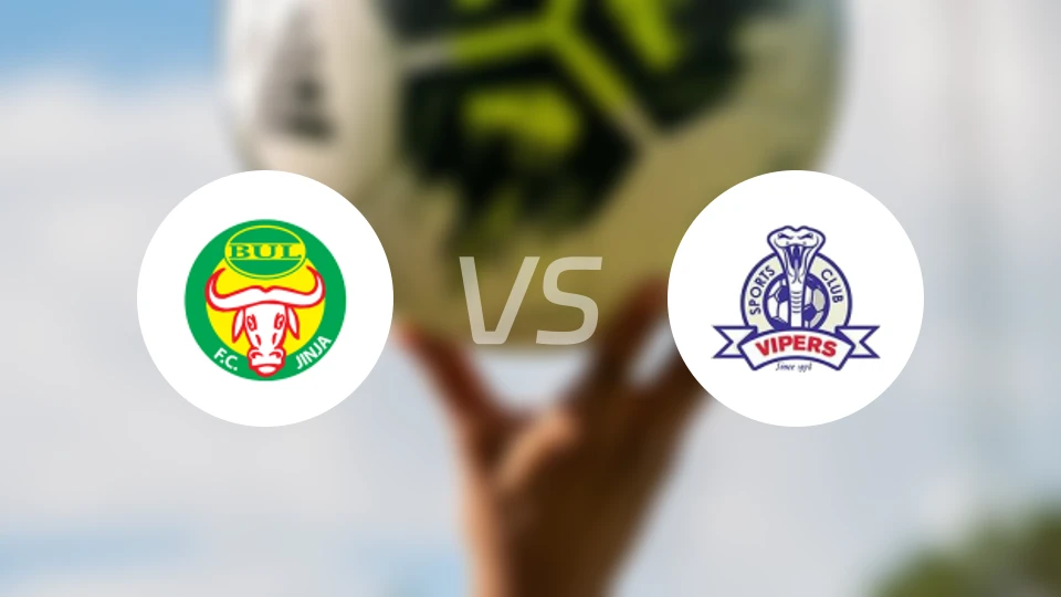 布尔比德科vs毒蛇比分预测【2026/02/13】