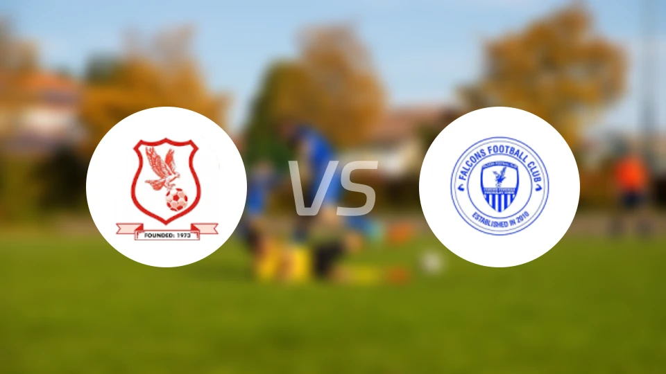 班珠尔老鹰vs猎鹰比分预测【2026/01/04】