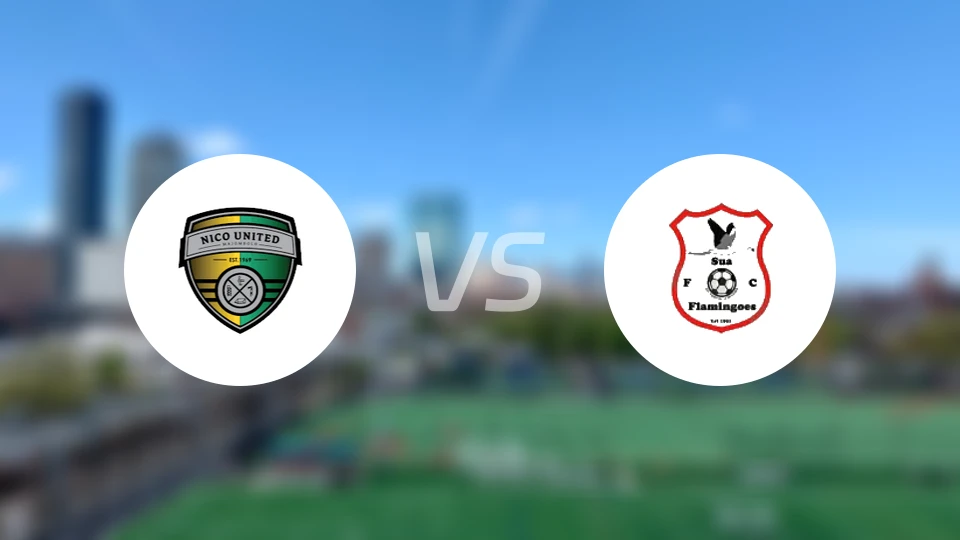 尼科联vs苏阿火烈鸟比分预测【2025/10/25】