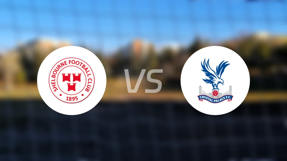 舒尔本vs水晶宫录像回放【2025/12/12】