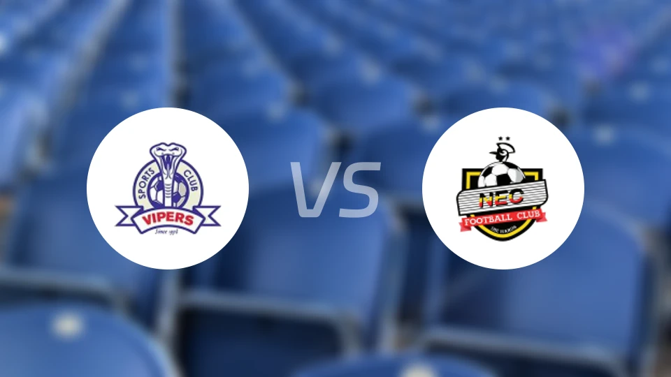 毒蛇vs布戈洛比比分预测【2026/02/18】