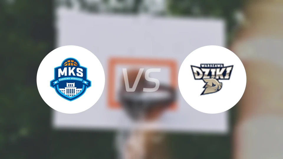 达布罗瓦戈尼vs华斯基比分预测【2026/03/14】